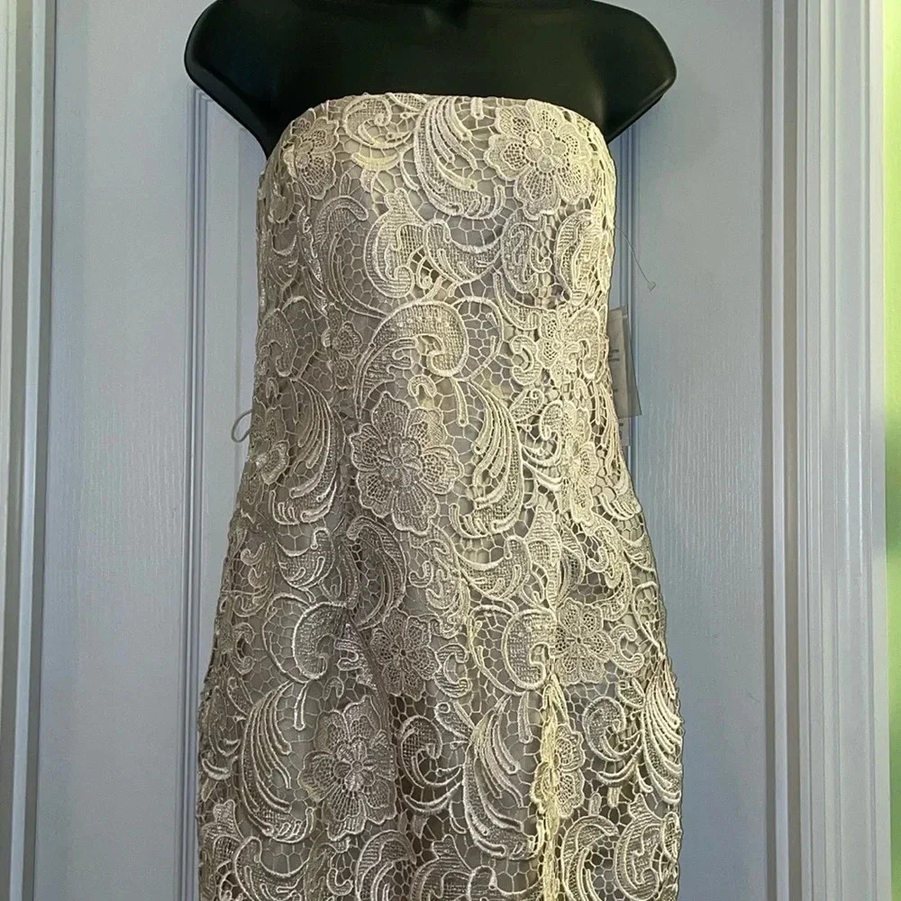 Adrianna Papell New Dress